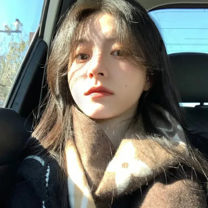 妙警贼探第五季