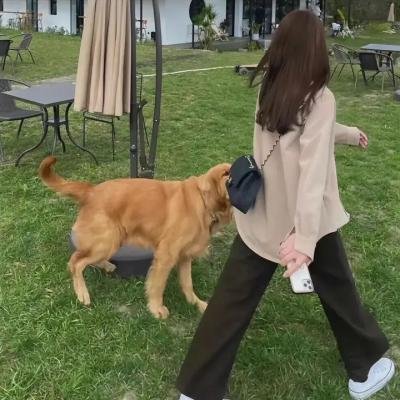 重访特权乐园